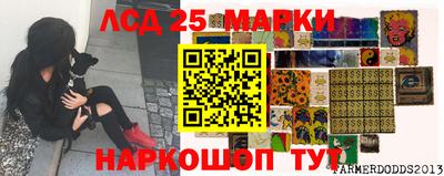 гидропоника Пушкино