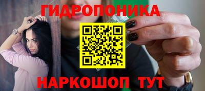 гидропоника Пушкино