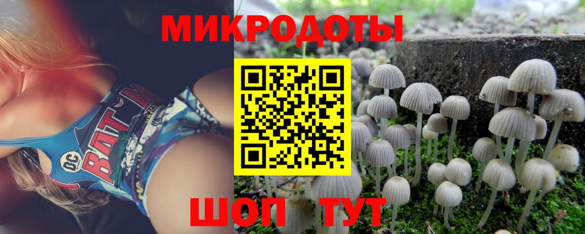 Псилоцибиновые грибы MAGIC MUSHROOMS Славянск-на-Кубани