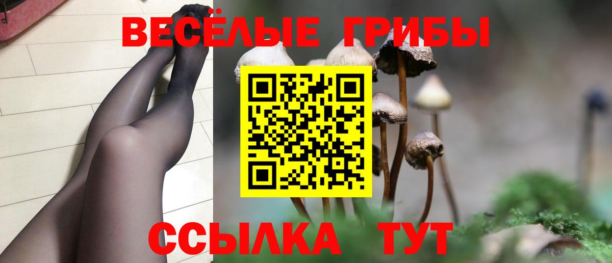 Славянск-на-Кубани  Галлюциногенные грибы мухоморы  Вход с VPN  Псилоцибиновые грибы Cubensis 